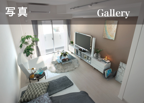 写真 Gallery
