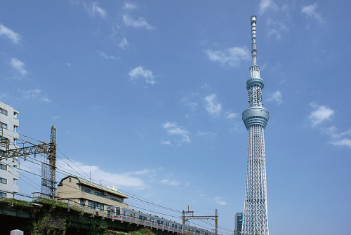 明治神宮外苑イチョウ並木